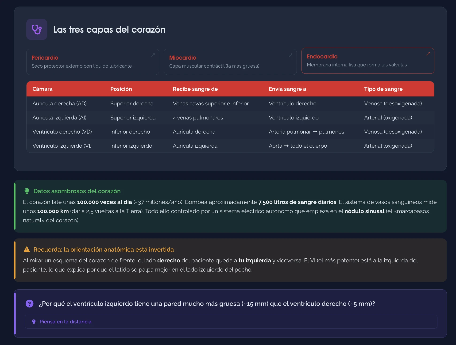 Las tres capas del corazón — Tablas y datos